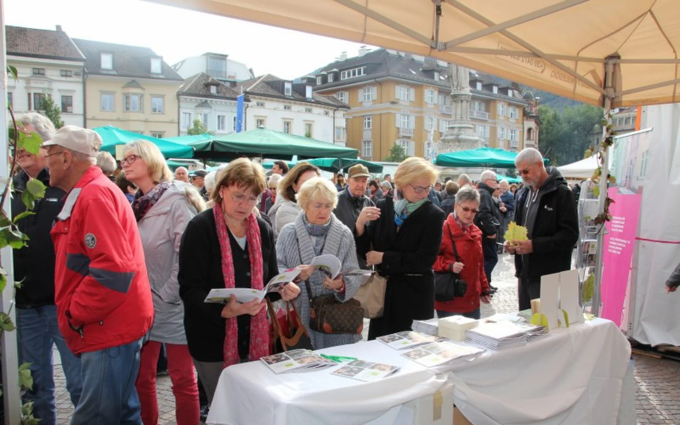 Erntedank 2016 81_800x533.JPG